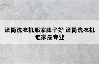 滚筒洗衣机那家牌子好 滚筒洗衣机谁家最专业